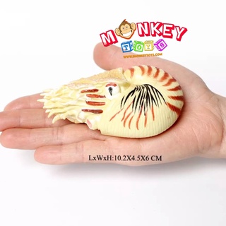 Monkey Toys - โมเดลสัตว์ หอยนอติลอยด์ น้ำตาล ขนาด 10.50 CM (จากหาดใหญ่)