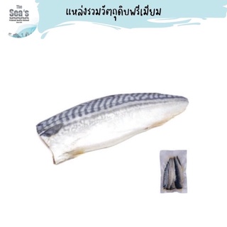 ปลาซาบะดอง 500G/PACK (4PCS) VINEGARED MACKEREL (SHIME SABA)