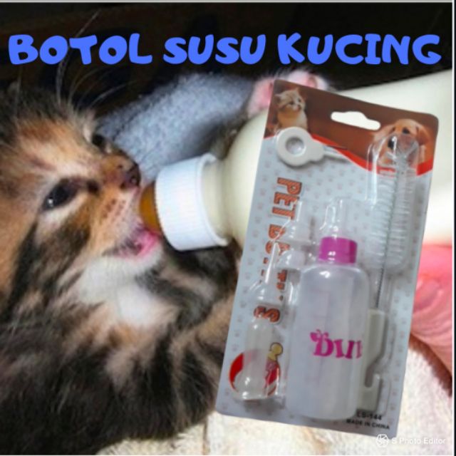 CAT MILK BOTTLE / BABY CAT / ชุดขวดนม