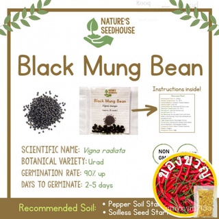 Black Mung Bean Seeds Black Munggo Seeds Vegetable Seeds Plant Seeds Seedsเสื้อ/คื่นฉ่าย/มะละกอ/แม่และเด็ก/แอปเปิ้ล/กางเ