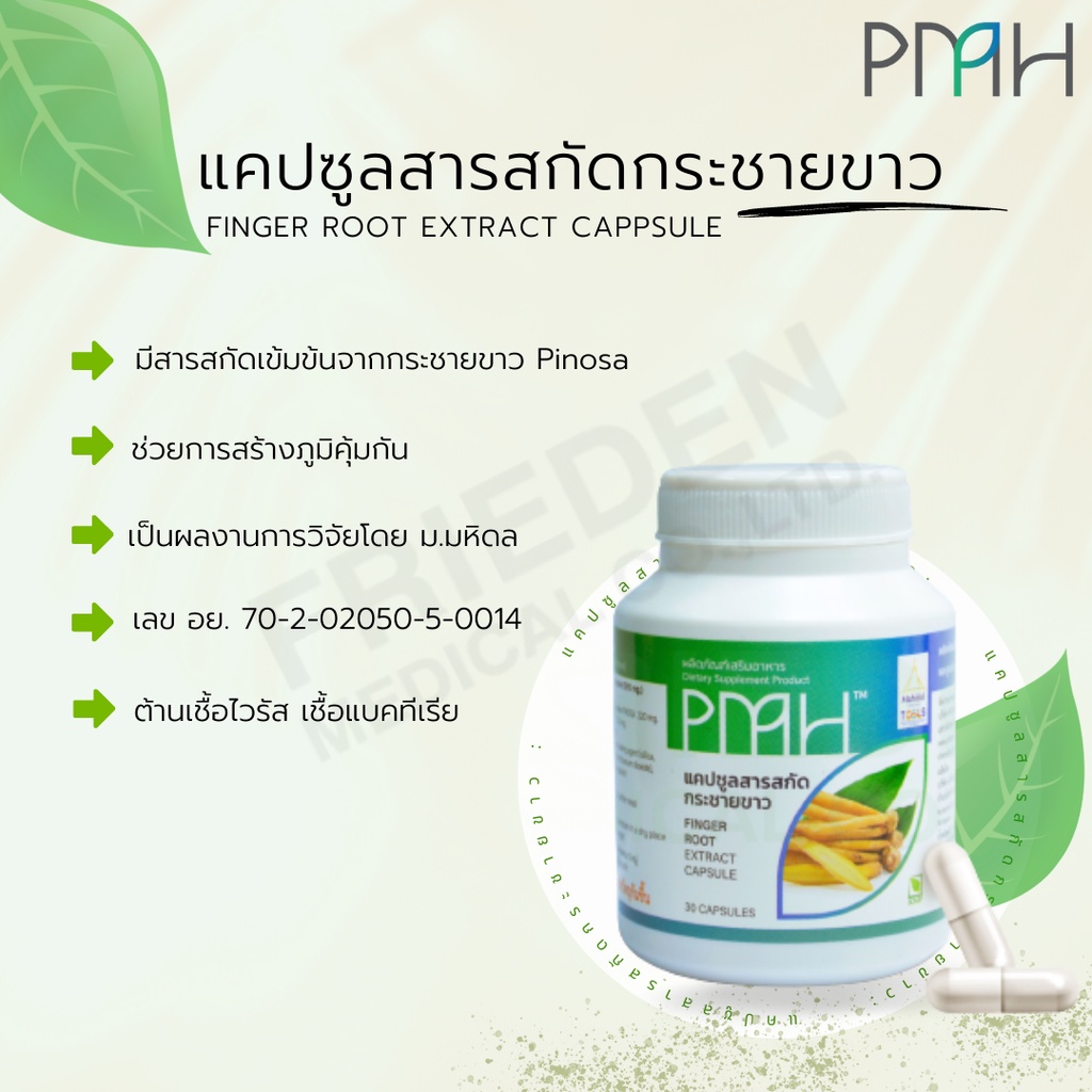 ผลิตภัณฑ์แคปซูลสารสกัดกระชายขาว (PMH) ของม.มหิดล (30 แคปซูล/กระปุก)