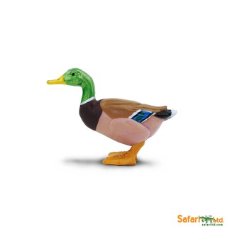 Safari Ltd. : SFR233229 โมเดลสัตว์ SF Duck