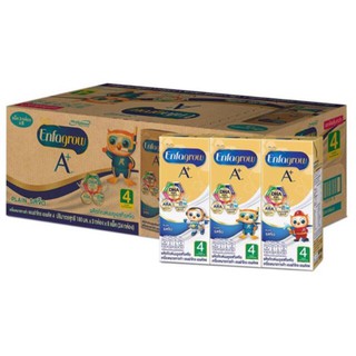 ✨นาทีทอง✨ เอนฟาโกร เอพลัส นมยูเอชที สูตร 4 รสจืด 180 มล. แพ็ค 24 กล่อง จัดส่งเร็ว🚛💨