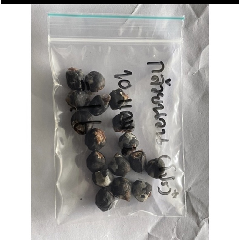 กล้วยนวน เม็ดละ5บาท ขั้นต่ำ10เมล็ดจ้าพร้อมส่งสนใจกดสั่งได้เลยจ้า