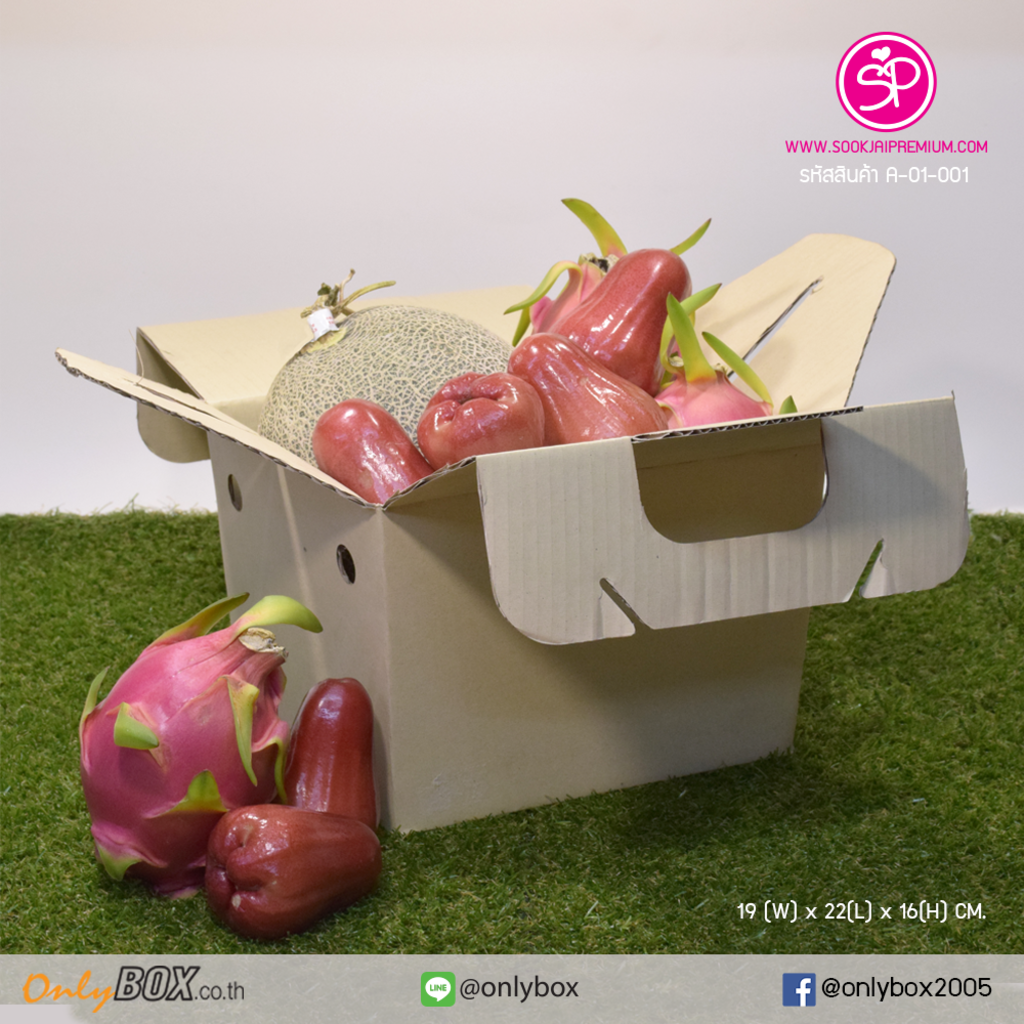 (มีใบกำกับภาษี) (บรรจุ 20 กล่อง) A-01-001 ขนาด 19.0x22.0x16.0 ซม. กล่องลูกฟูกทรงหูหิ้ว