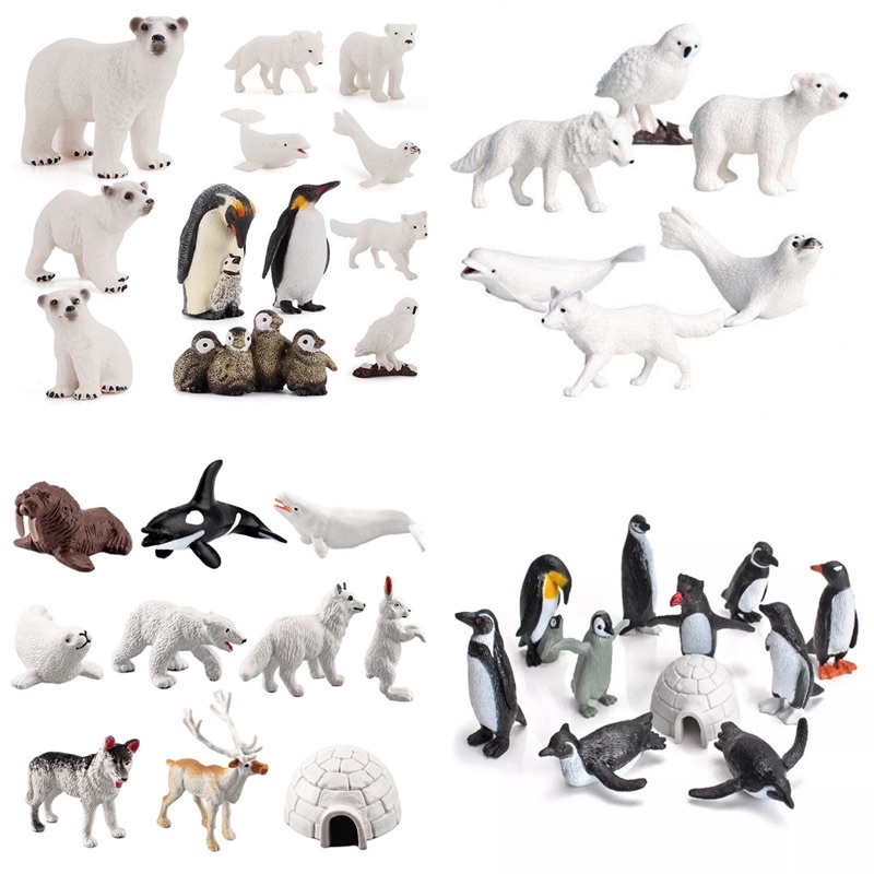 🇹🇭Sensory play โมเดลสัตว์ขั้วโลก Arctic&Antractic Animals set พร้อมส่ง🇹🇭 polar bear penguin  life cycle วงจรชีวิตสัตว์