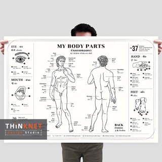 โปสเตอร์ร่างกายของเรา 3 ภาษา: ขาว My Body Parts Trilingual: White