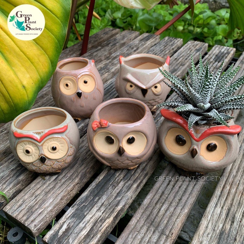 GPS Green Plant Society CPOT สัตว์นกฮูกดอกไม้หม้อเซรามิก 猫头กระถางดอกไม้