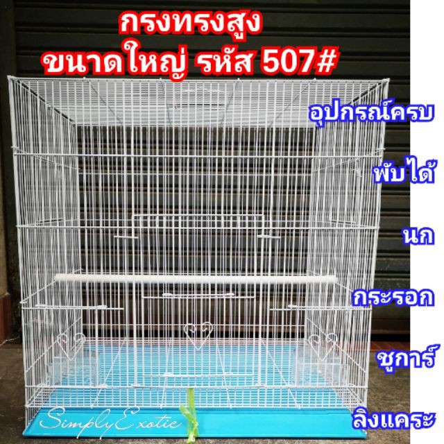 My Image 70