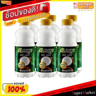 🔥แนะนำ!! อัมพวา กะทิ100% ขนาด 250ml/ขวด แพ็คละ6ขวด Coconut Milk ขาว ข้น หอม มัน เหมือนคั้นกะทิสด คั้นทันทีตั้งแต่กระเทาะ