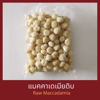 แมคคาเดเมียดิบเต็มเม็ด 250 กรัม 500 กรัม 1 กิโลกรัม Raw Macadamia Whole 250 g 500 g 1 kg