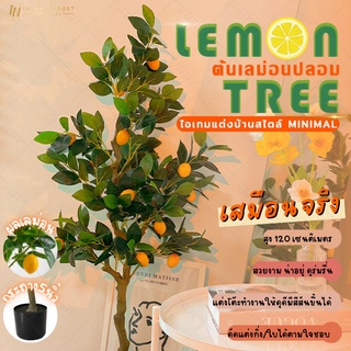 🍋ต้นเลม่อน พร้อมกระถางสีดำ งานพรีเมี่ยม 🔥 ต้นไม้ตกแต่งบ้าน 🔥 ต้นเลม่อนปลอม สูง 1.2 เมตร เหมือนจริงมาก สำหรับตกแต่งบ้าน