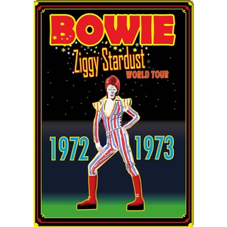 โปสเตอร์ David Bowie เดวิด โบวี่ Poster แต่งคอนโด ตกแต่งห้อง รูปภาพติดห้อง ตกแต่งผนัง ภาพภ่าย ของขวัญ โปสเตอร์ติดผนัง