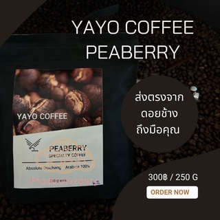 กาแฟดอยช้าง คั่ว 250กรัม เพียเบอรี่ YAYO COFFEE DOICHANG ✅คั่วใหม่ ✅ส่งเร็ว ✅บดฟรี🍳 pd99