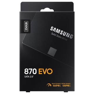 SAMSUNG 870 EVO SATA-lll 2.5" SSD 250GB (MZ-77E250BW)