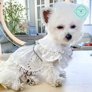 เดรสหมาสีขาวแต่งโบว์ เดรสแมว  เสื้อหมา เสื้อสัตว์เลี้ยง Off White Pet Dress ชุดหมา ชุดแมว