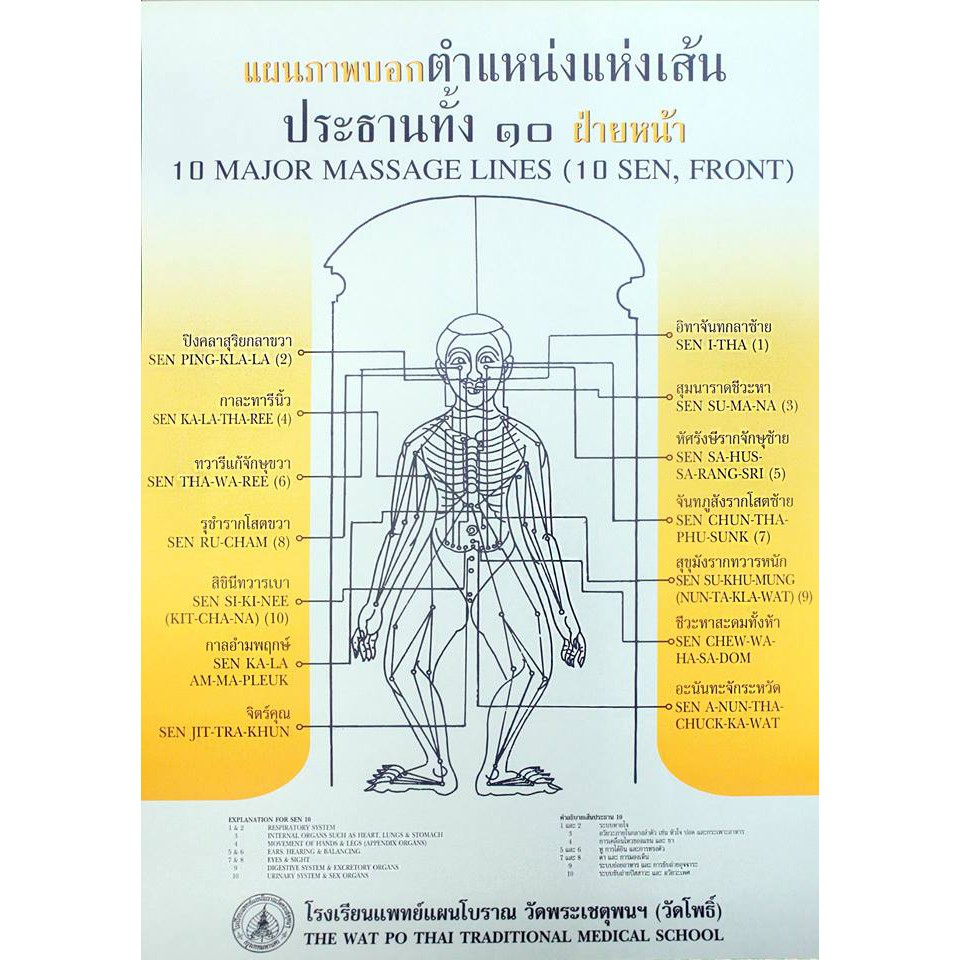 เส้นประธานทั้ง 10 ฝ่ายหน้า (กรุณาสั่งแยกกับหนังสือเนื่องจากแพ็คส่งพร้อมกันไม่ได้)