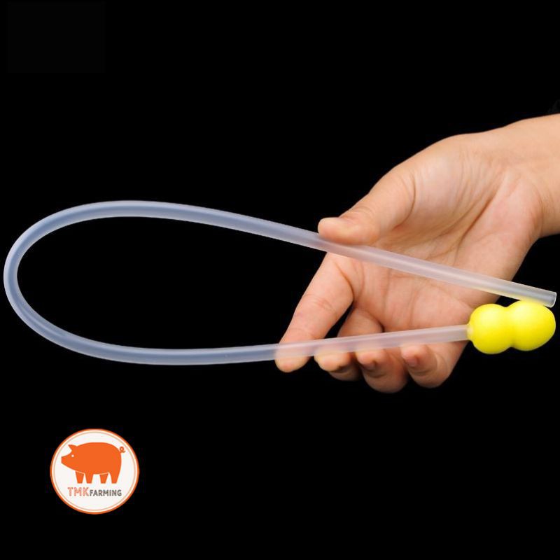 รูปภาพ 4