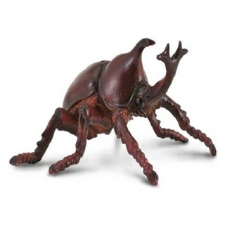 Collecta โมเดลสัตว์ป่า - 88337 Rhinoceros Beetle