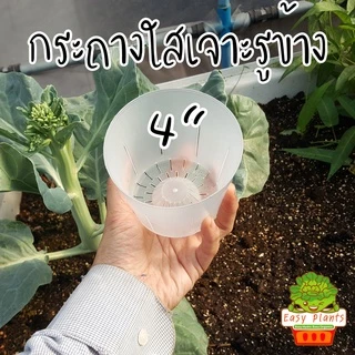 กระถาง ใส เจาะรูข้าง แพ๊คละ 10 ชิ้น มี 3 ขนาด 3,4,5 นิ้ว สามารถมองทะลุ เห็นรากที่เกิดขึ้นมาได้