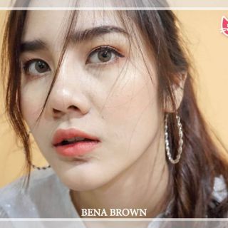 Bena สีน้ำตาล / สีเทา by Kitty kawaii 🎀 คอนแทคเลนส์รายเดือน &gt;&gt; 0.00 ถึง -5.00 &lt;&lt;