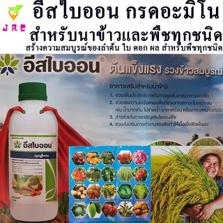 อีสไบออน ขนาด1ลิตร อาหารเสริมพืช กรดอะมิโนเข้มข้น