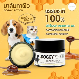 Doggy Potion Healing Balm มีน้ำผึ้งมานูก้า MGO900 ถึง 30% ลดอักเสบ คัน สมานแผล 20 กรัม[DG08]