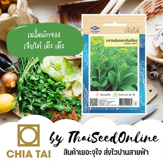 CTOP เมล็ดพันธุ์ กวางตุ้งดอกต้นเขียว 3900 เมล็ด กระจ้อน ตราเจียไต๋ Flowering Pak Choy Dark Green Type