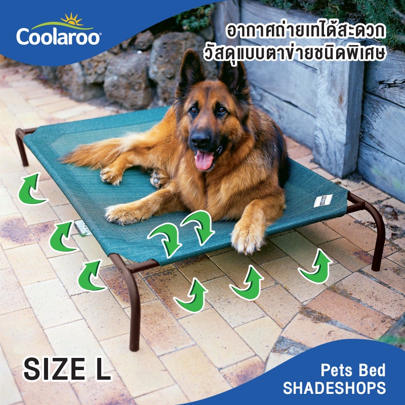 เตียงนอนที่นอนสัตว์เลี้ยง Coolaroo Pet Bed เสริมสุขภาพ ป้องกันแผลกดทับ สินค้าแบรนด์ยอดนิยมจากประเทศออสเตรเลีย [พร้อมส่ง]