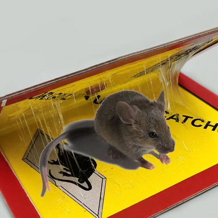 🐭🐭กาวดักหนู ORIGINAL แบบสำเร็จรูป ไม่มีกลิ่นเหม็น #G-0024