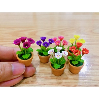 ดอกพริมโรสในกระถางสีน้ำตาล ขนาดจิ๋ว สูง 3-3.5 ซม.