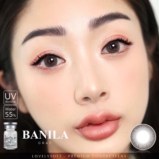 Banila gray พร้อมส่งค่าสายตา (Lovelysoft)