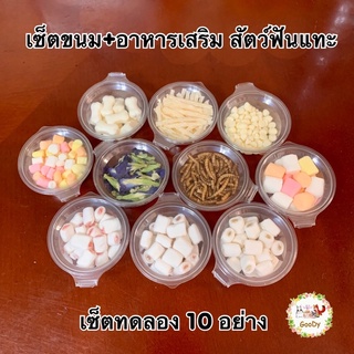 เซ็ตขนม+อาหารเสริม 10 อย่าง ของสัตว์เลี้ยงฟันแทะ ชูการ์ หนู กระรอก กระต่าย เป็นต้น