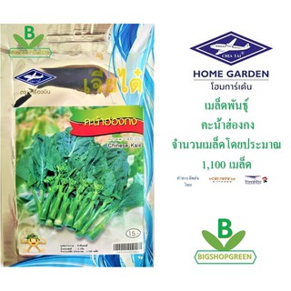 5 ฟรี 1 คละได้ เมล็ดพันธุ์ คะน้าฮ่องกง .ตรา เจียไต๋ เมล็ดพันธุ์ผัก เมล็ดผัก เมล็ดพันธุ์พืช  เมล็ดพืช ผักสวนครัว