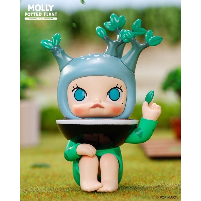 (พร้อมส่ง) MOLLY - Molly Potted Plant