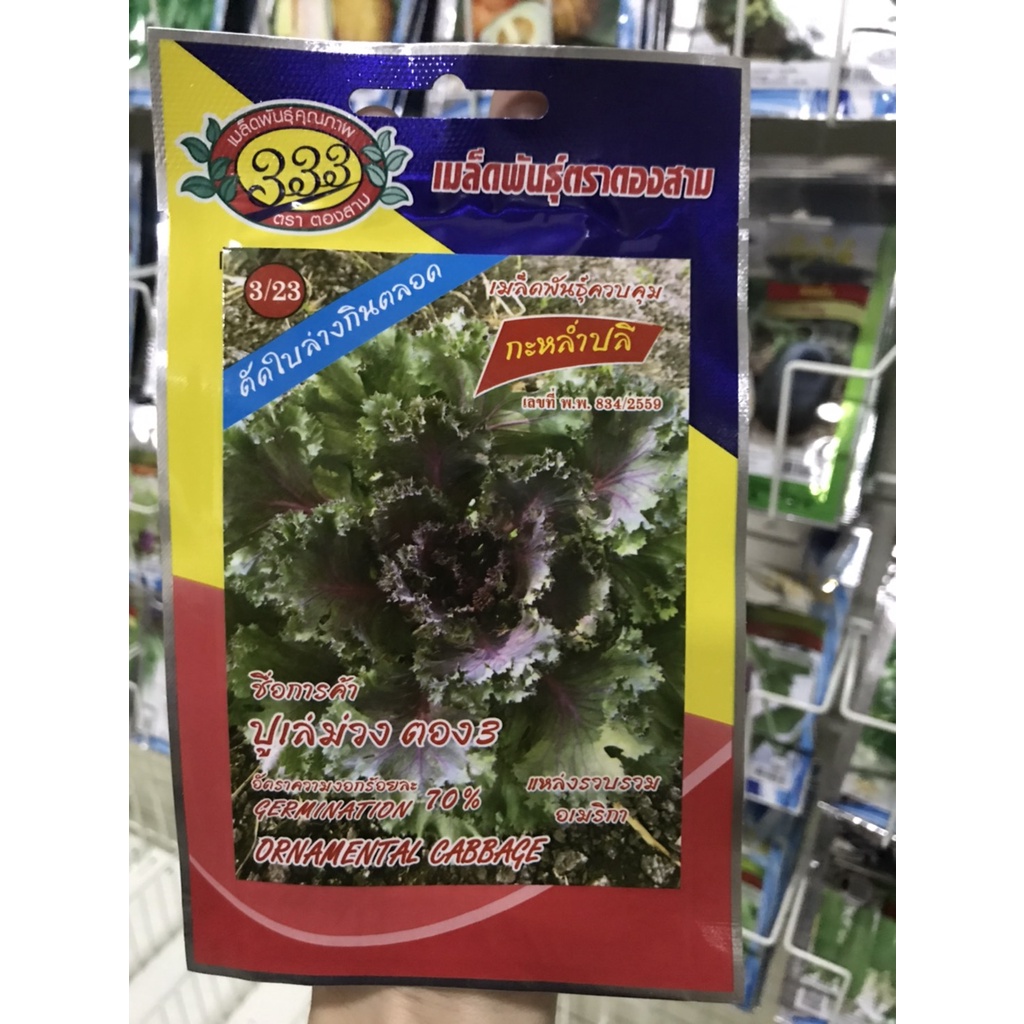 เมล็ดพันธุ์ปูเล่ สีม่วง อเมริกา 20เมล็ด ปูเล่ม่วง ตัดใบกิน สวยงาม กรอบอร่อย