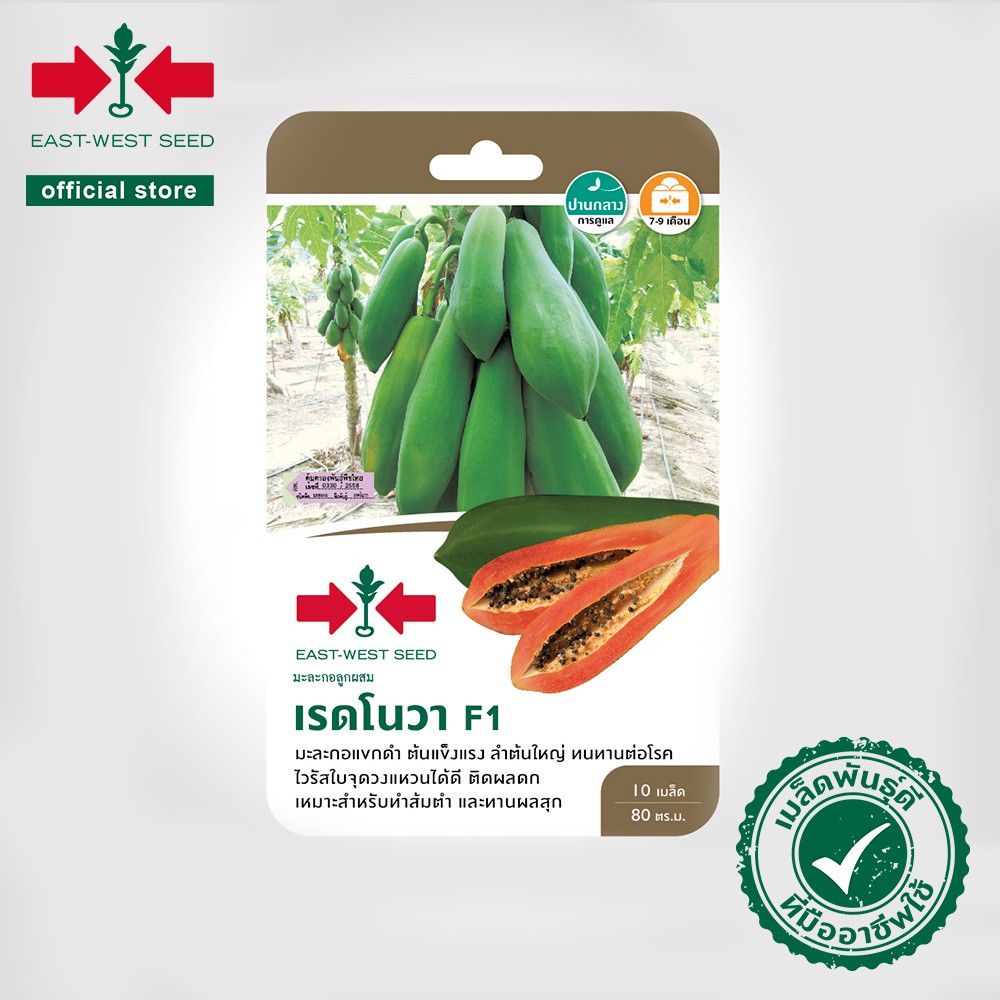 ศรแดง เมล็ดพันธุ์มะละกอ เรดโนวา F1 (East-West Seed) เมล็ดพันธุ์ผัก เมล็ดพันธุ์ ผักสวนครัว ตราศรแดง