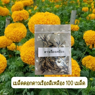 ดอกดาวเรืองสีเหลือง💐เมล็ดพันธุ์ 100 เมล็ด🌱