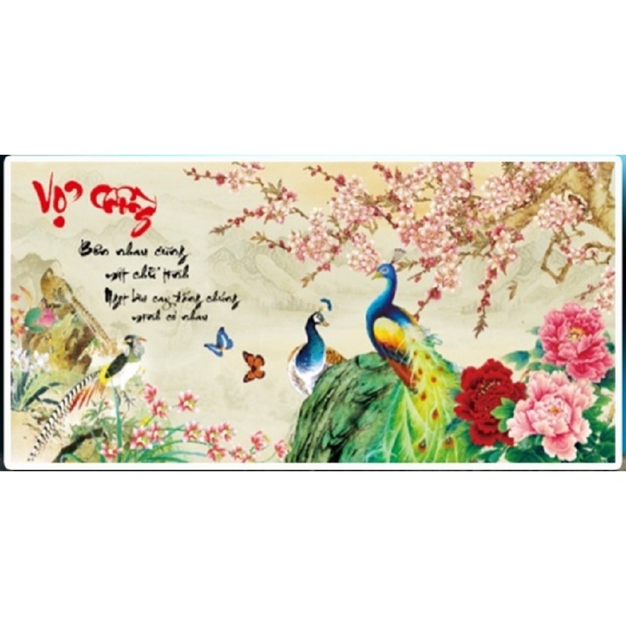 ภาพวาดเพชรของคู่รัก - LV168