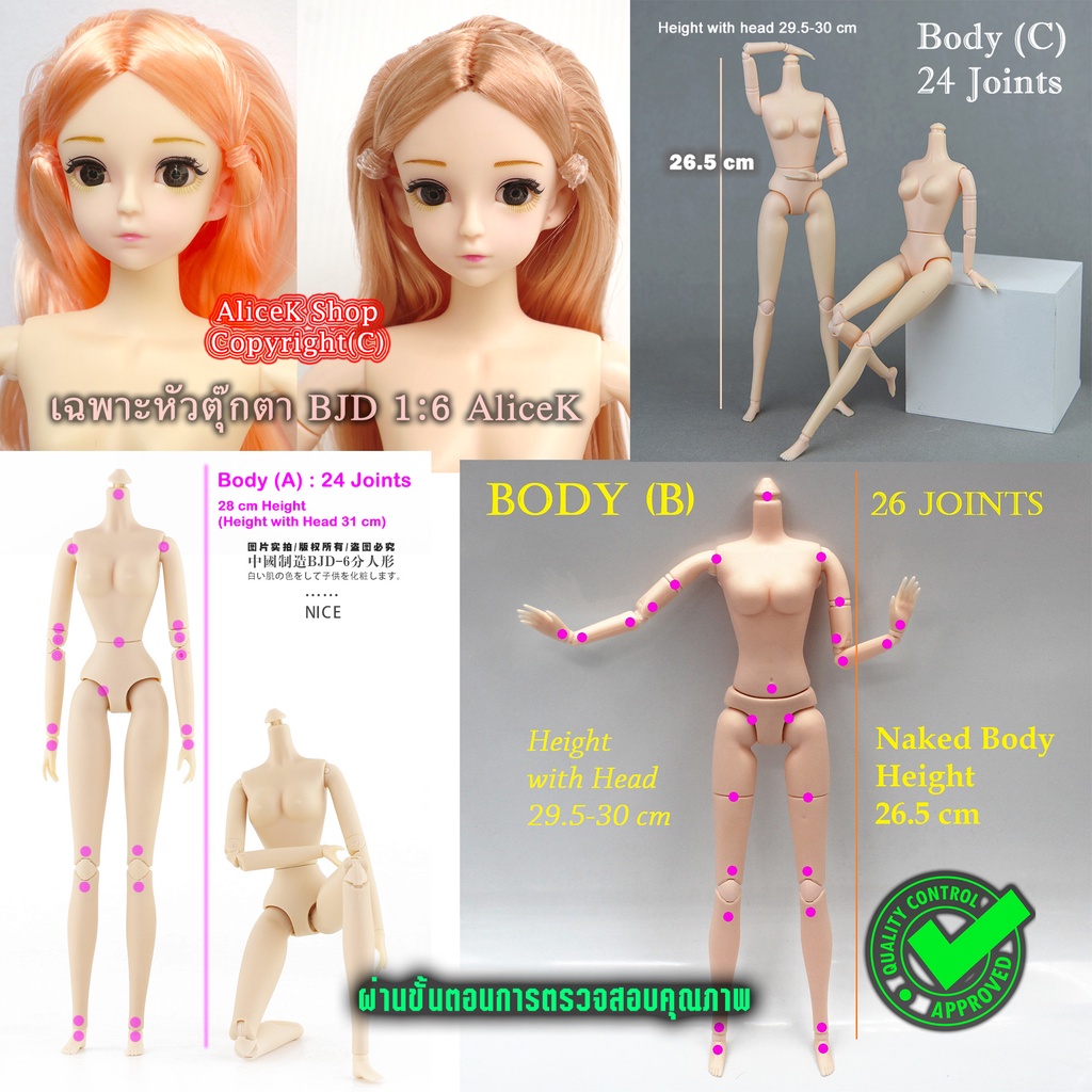 บอดี้ตุ๊กตาข้อต่อ ตุ๊กตาข้อต่อ BJD 1:6 11-26 Joints ความสูงรวมหัว 30-31 cm มีเฉพาะหัวตุ๊กตาแยกขาย