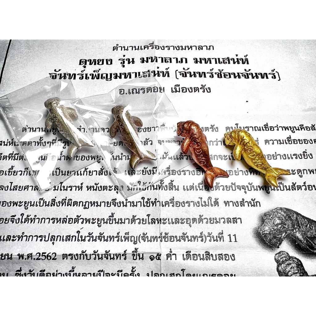 ดุหยง, สำนักสักยันต์ อ.เณรดอย เมืองตรัง, จ.ตรัง Charming Dugong by Arjarn Doi Mueang Trang, Trang Pr