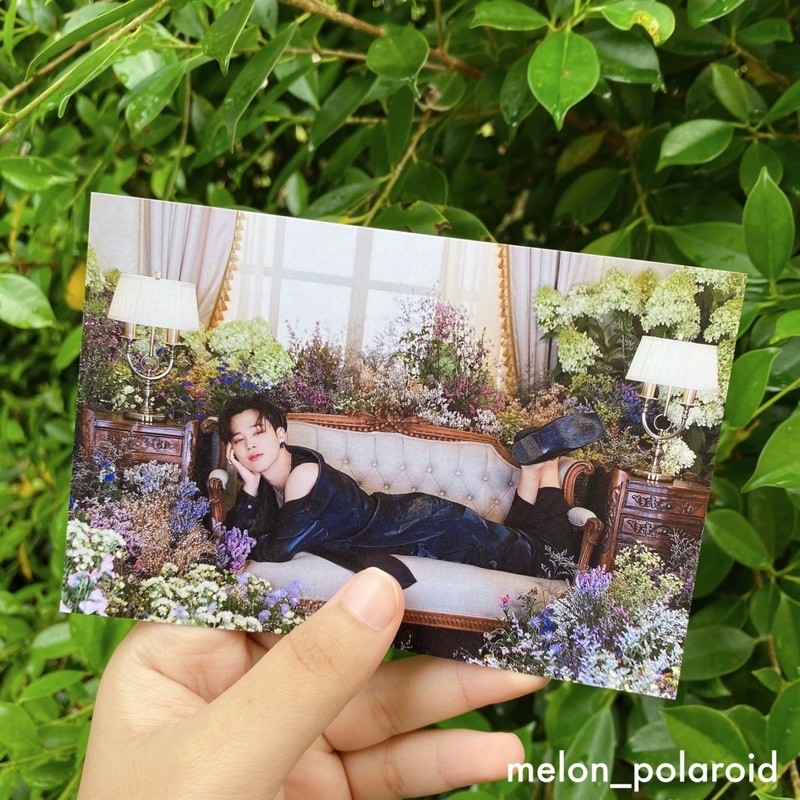 รูปภาพ 7