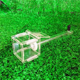 cc Ant Nest Glass Tube Mini Ant Nest with Active Zone Insect House Acrylic Ant Farm