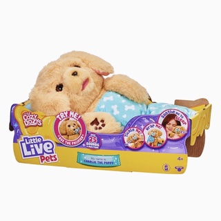 (ของแท้100%) พร้อมส่ง! Little Live Pets Cozy Dozys | Charlie The Puppy 1ตัว ~ ของเล่นนำเข้าจากอเมริกา