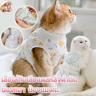 พร้อมส่ง เสื้อทำหมัน ชุดหลังผ่าตัดสุนัขและแมว/ชุดทำหมัน ชุดหลังผ่าตัด เสื้อกันเลีย ผ้าตาข่าย ป้องกันไม่ให้หลุด