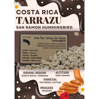 พร้อมส่ง เมล็ดกาแฟดิบ Costa Rica Tarrazu San Ramon Hummingbird washed process/ เมล็ดกาแฟนอก/ เมล็ดกาแฟสารคอสตาริกา