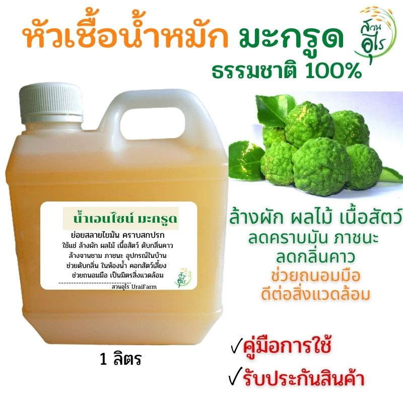 หัวเชื้อน้ำหมักมะกรูด 5ลิตร ธรรมชาติ100% น้ำหมักมะกรูด เอนไซม์มะกรูด น้ำหมักรสเปรี้ยว น้ำหมักธรรมชาติ น้ำหมัก มะกรูด