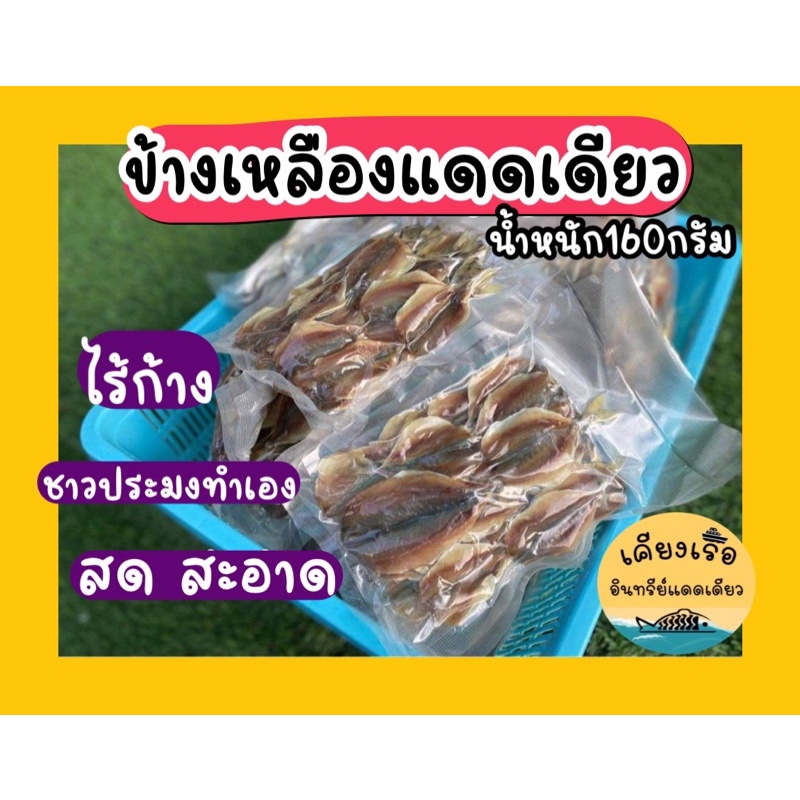 ปลาข้างเหลืองแดดเดียว พร้อมส่ง สด ใหม่ เค็มกำลังพอดี/เราผลิตสินค้าเอง/ปลาเรือเอง/การันตีความสด
