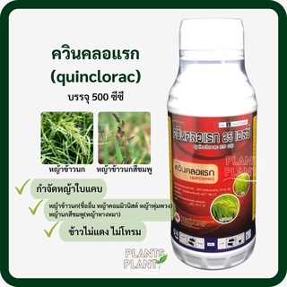 ควินคลอแรก (quinclorac) 500cc กำจัดวัชพืช หญ้าข้าวนก ผักปอดน้ำ ใช้ในนาข้าว