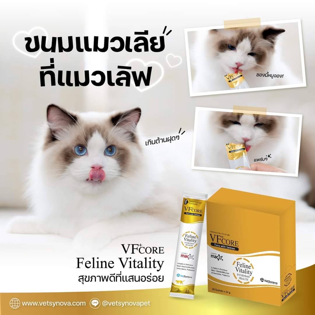 VFcore​ วิตามินรวม (1กล่อง30ซอง)   TUNA WITH SALMON ขนมแมวเลีย อาหารเสริม VF+ Core - รูปที่ 3